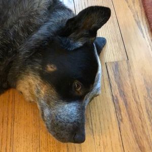 Meet your Posher, Denise